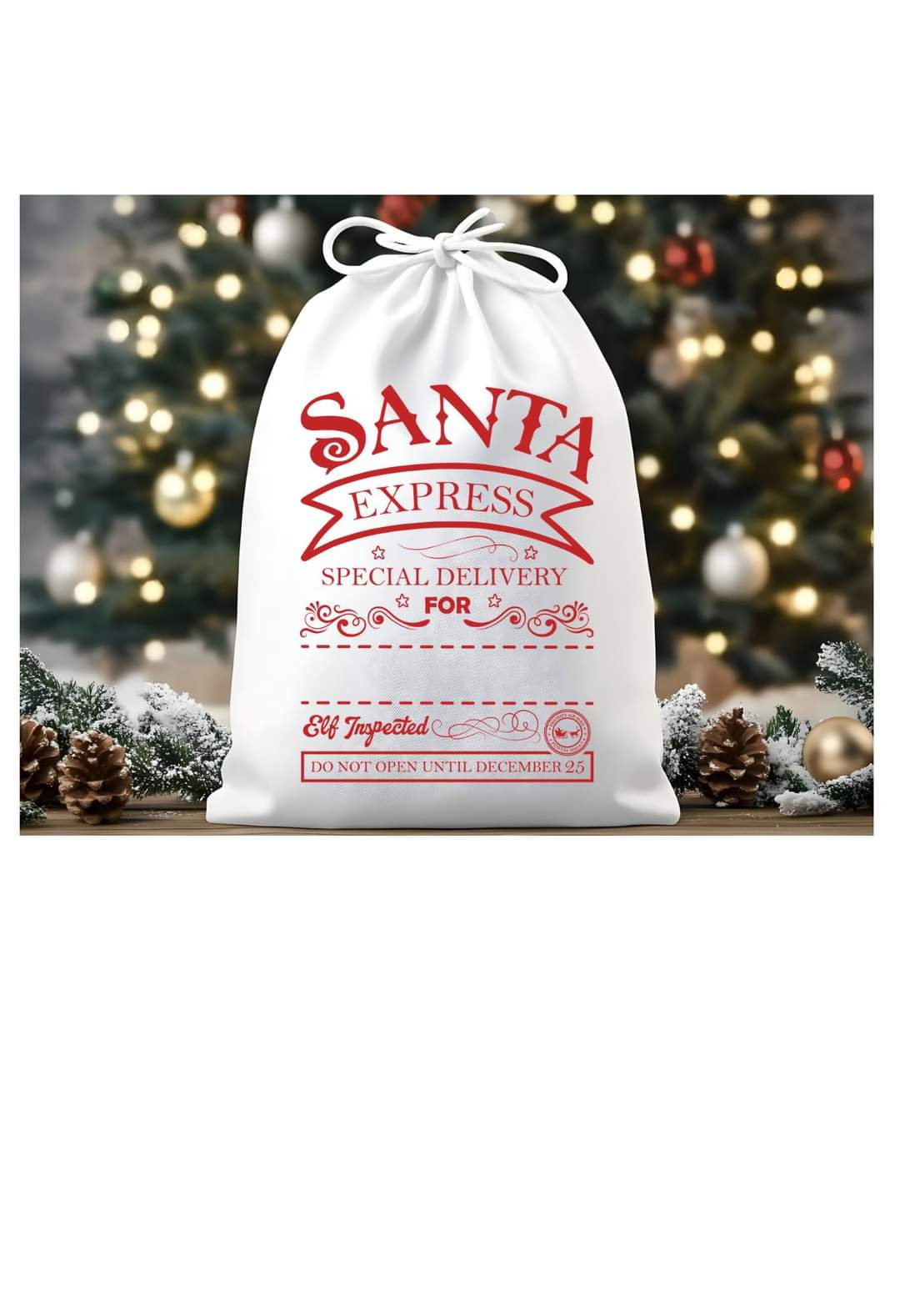 Santa Sacks